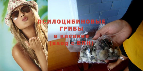 экстази Ельня
