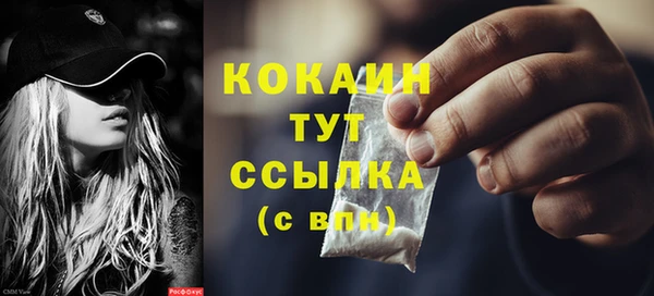 хмурый Елизово