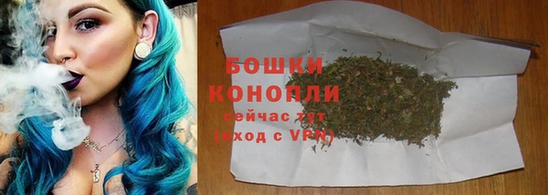 хмурый Елизово