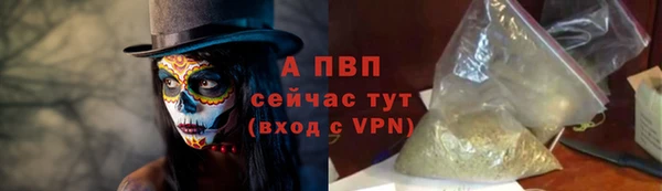 хмурый Елизово