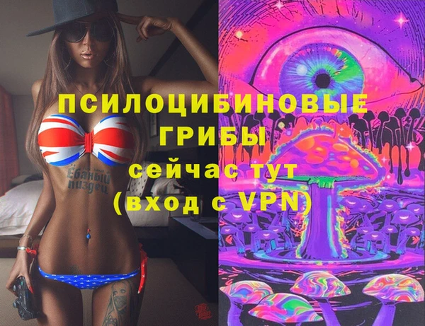 герыч Елабуга