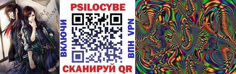 Галлюциногенные грибы Psilocybine cubensis  Камбарка 